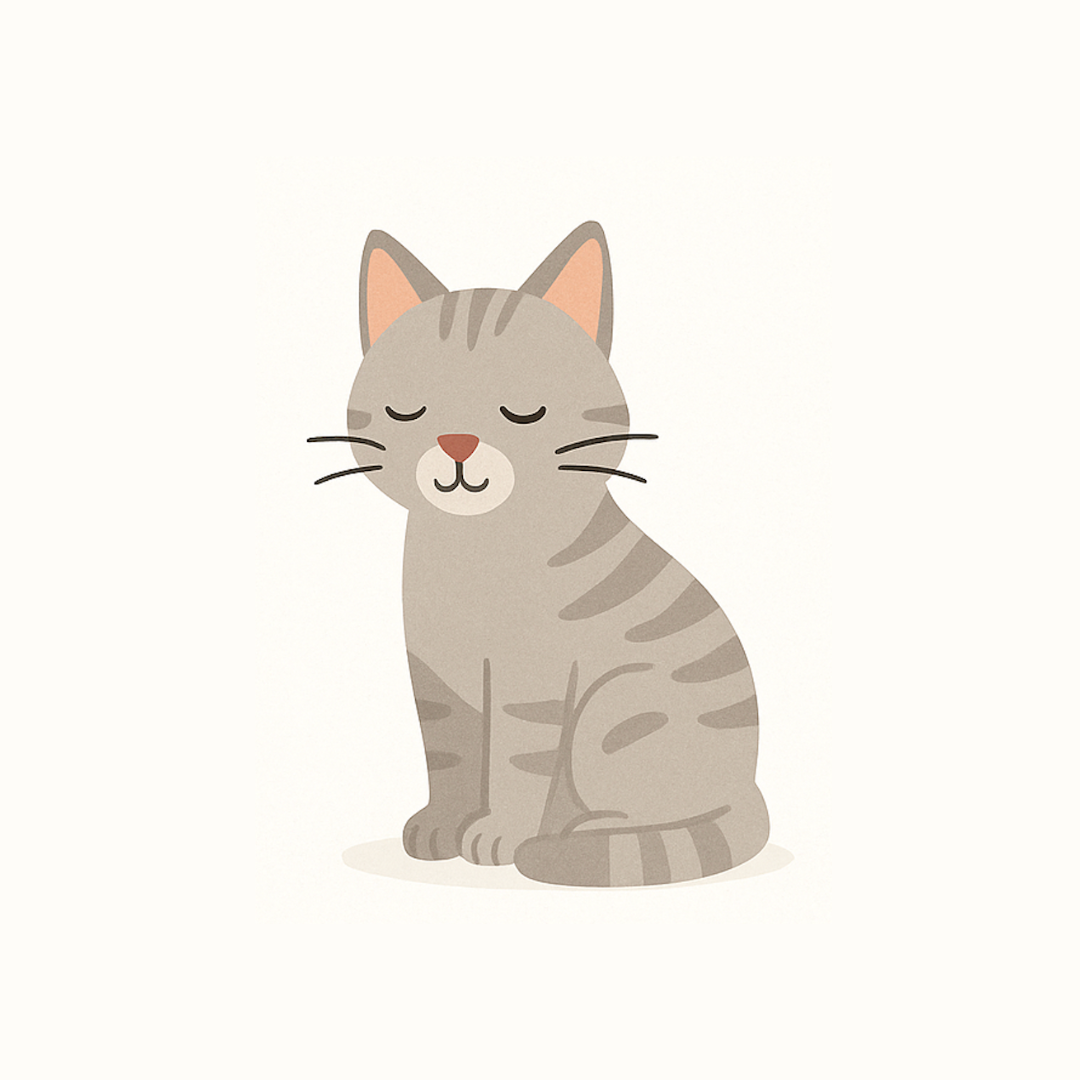 Trockenfutter für Senior-Katzen 🐱
