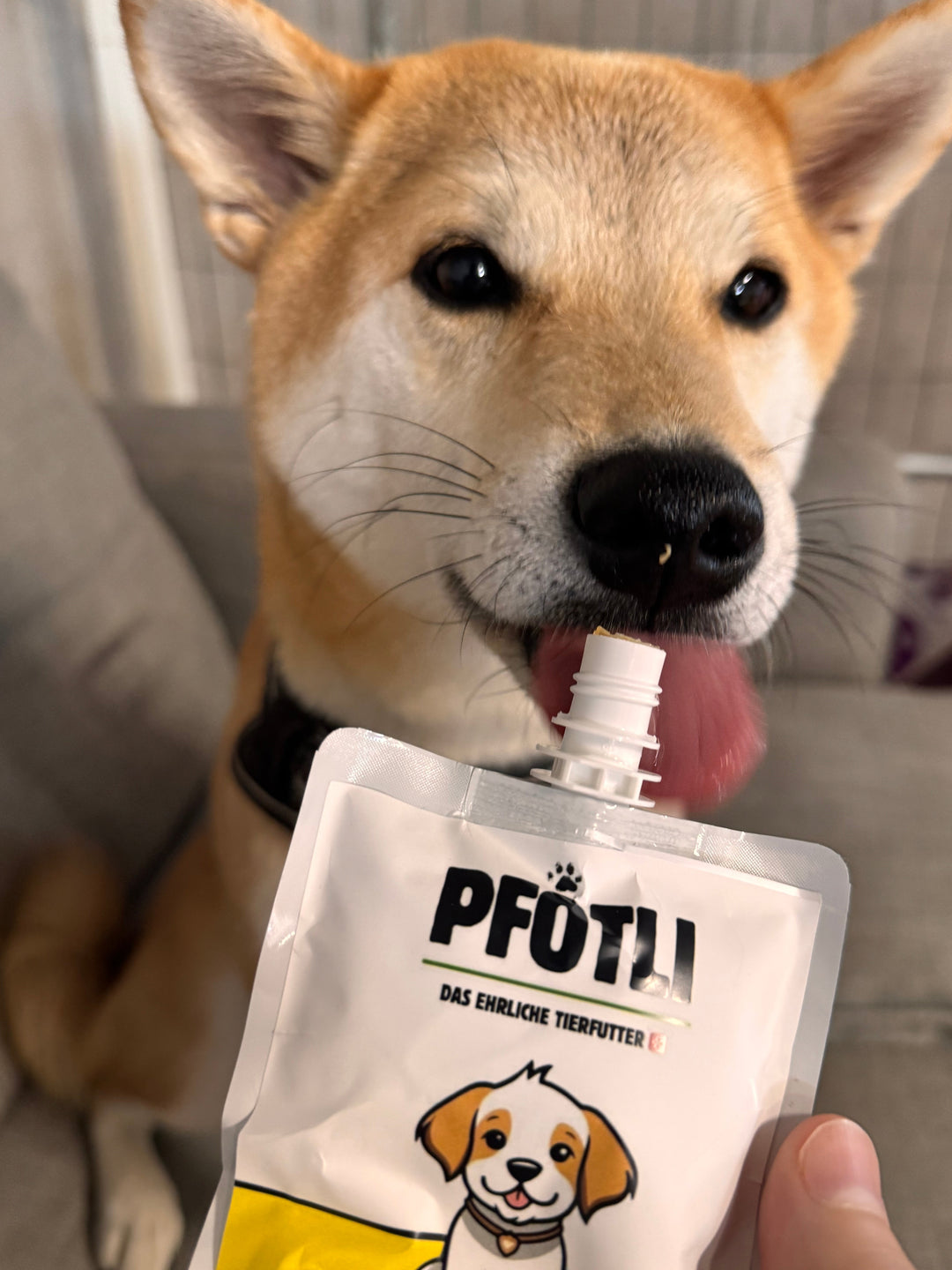 Leckerlis für Hunde 🐶