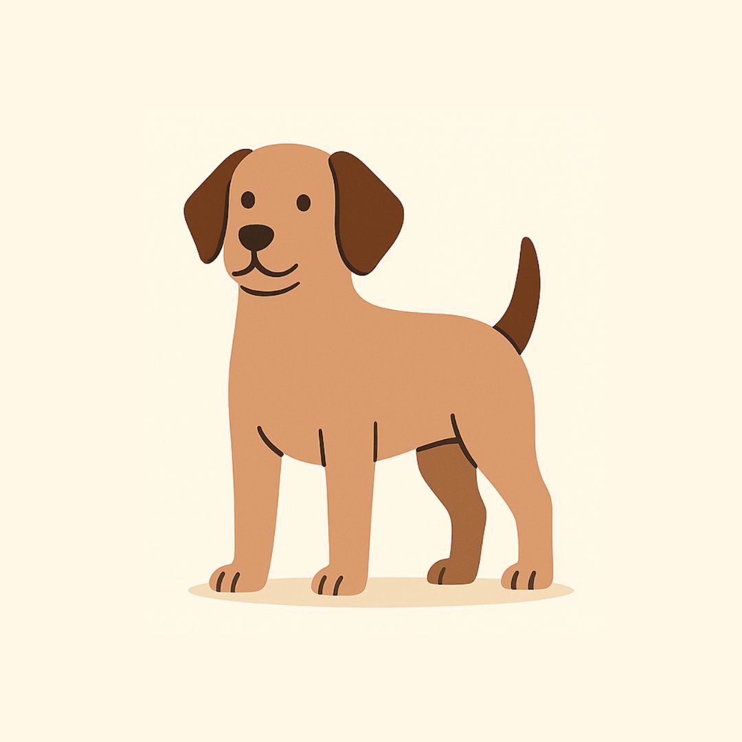 Trockenfutter für ausgewachsene Hunde 🐶