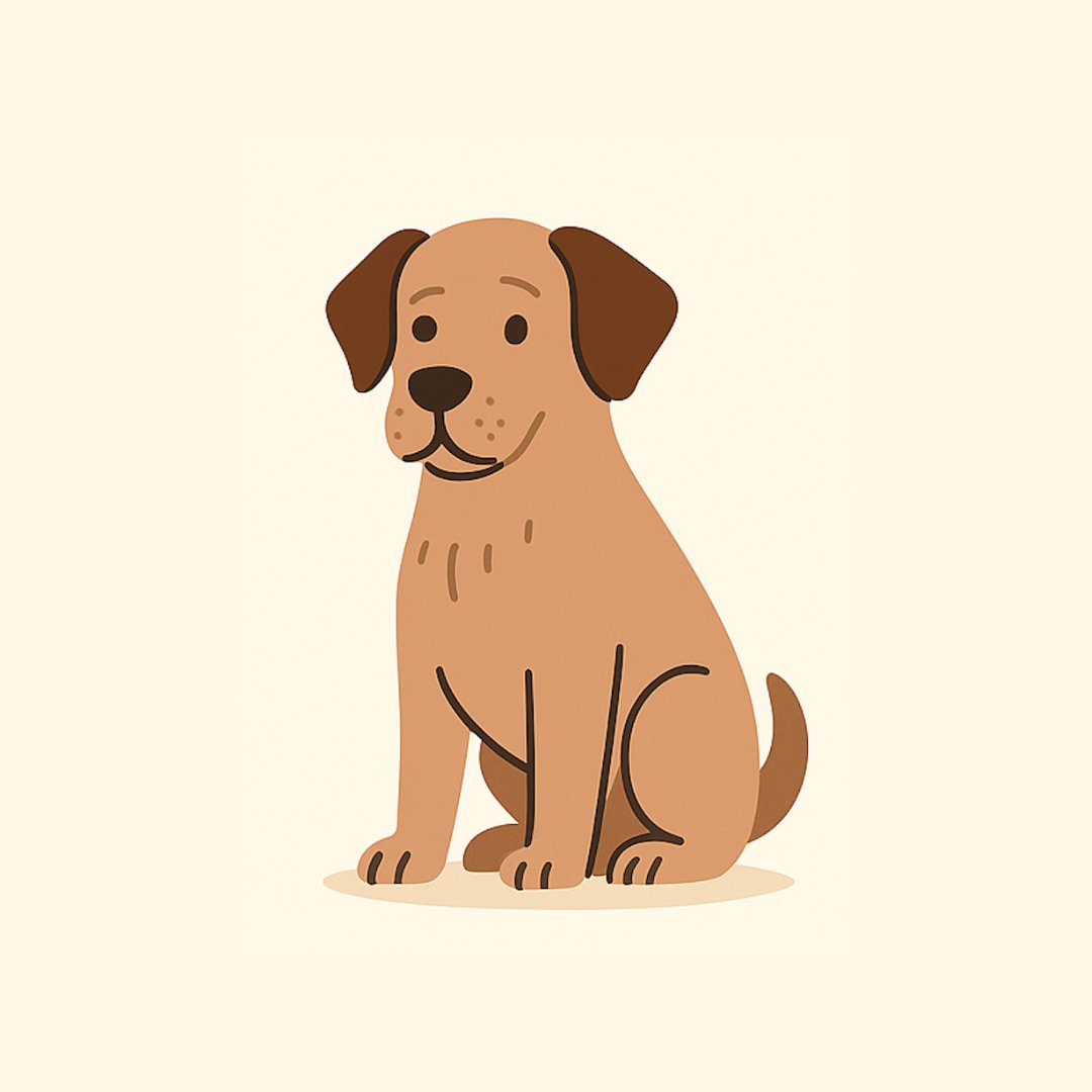 Trockenfutter für Senior-Hunde 🐶