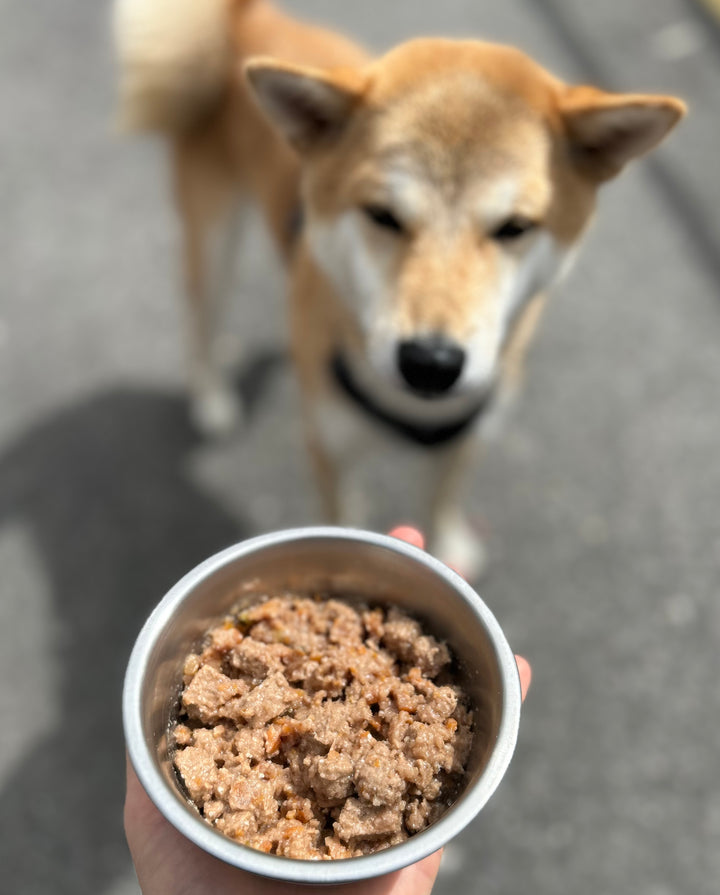 🐶 Frischfutter für Hunde
