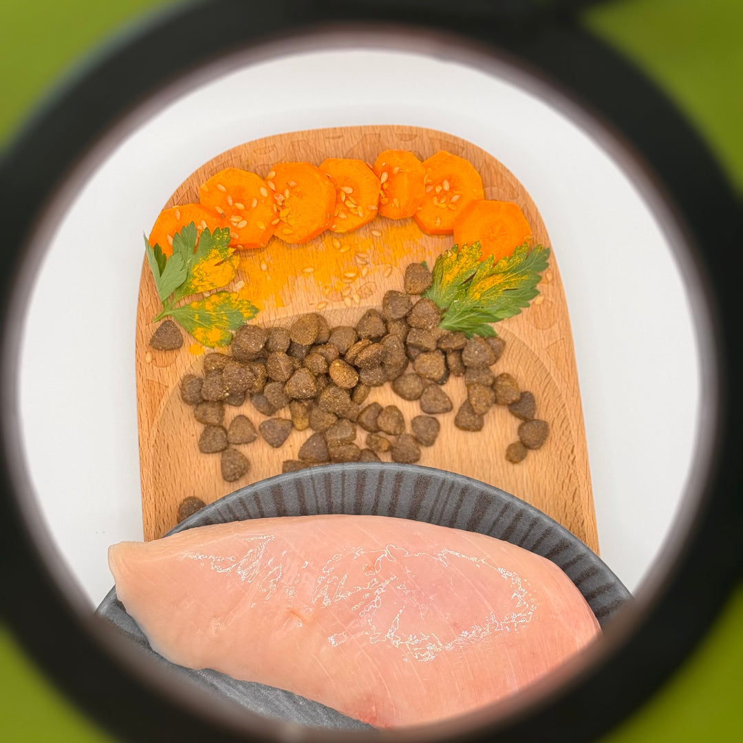 🐱 Huhn-Trockenfutter für große Katzenrassen