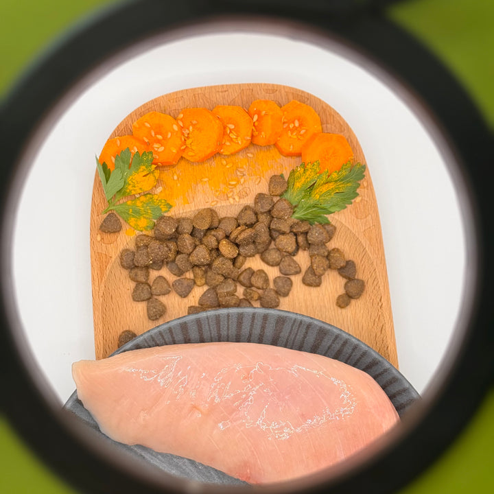 🐱 Huhn-Trockenfutter für große Katzenrassen
