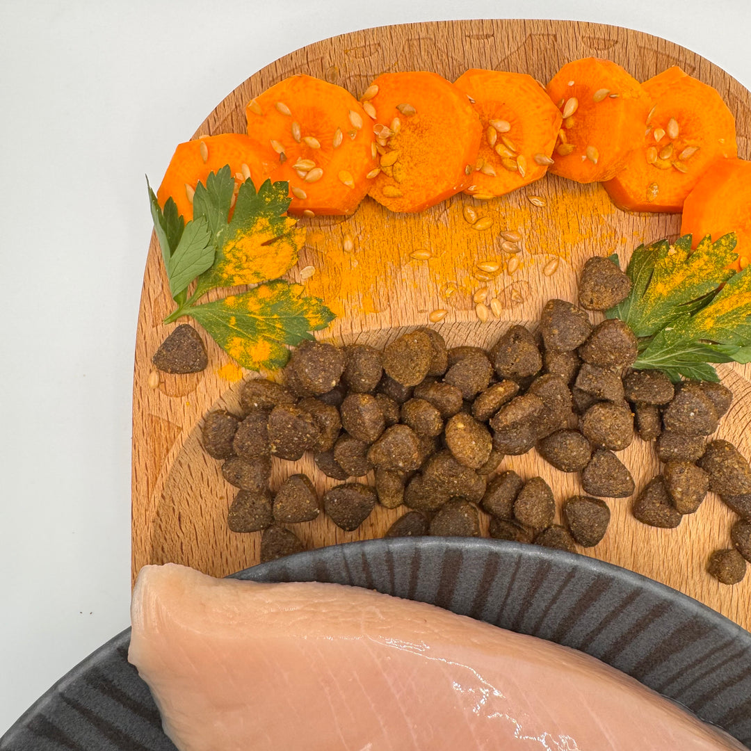 🐱 Huhn-Trockenfutter für große Katzenrassen