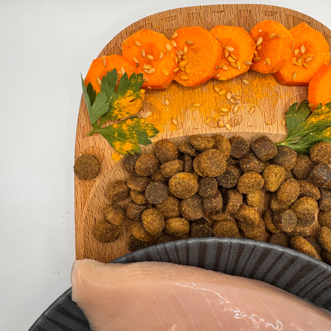 🐶 Huhn-Trockenfutter Senior – für ältere Hunde aller Rassen