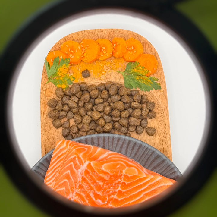 🐱 Fisch-Trockenfutter ohne Getreide für Senioren-Katzen
