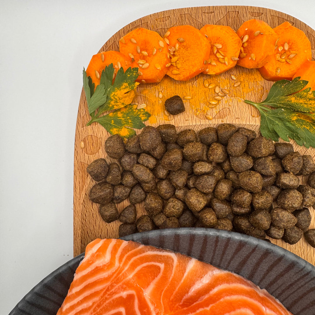 🐱 Fisch-Trockenfutter ohne Getreide für Senioren-Katzen