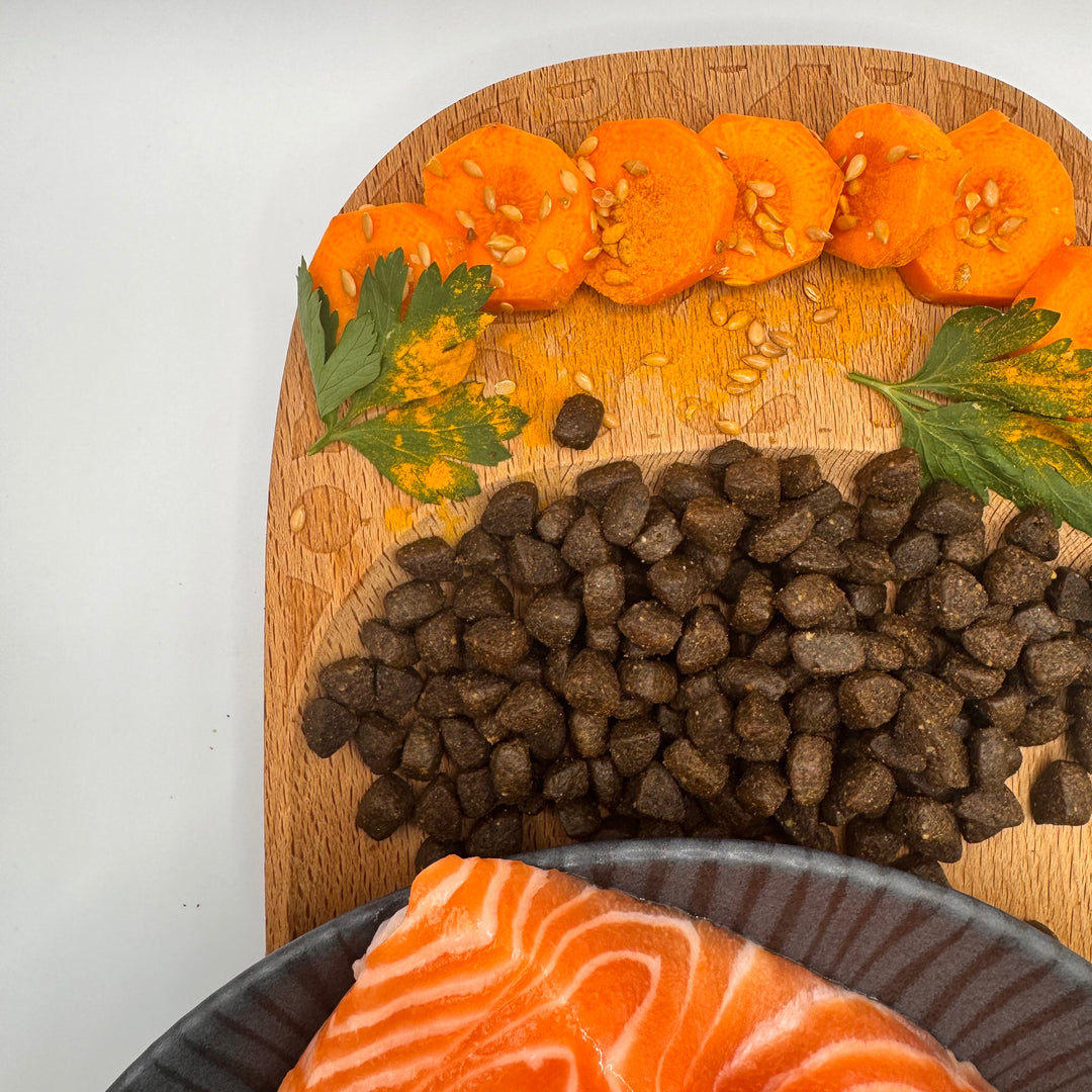🐱 Fisch-Trockenfutter für ausgewachsene Katzen