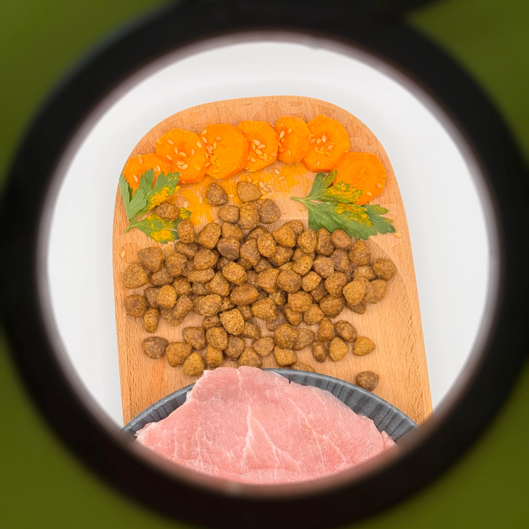 |19,90 CHF| 500 g Trockenfutter und 1 gekochte Mahlzeit à 400 g – abgestimmt auf das Profil Ihres Hundes🐶