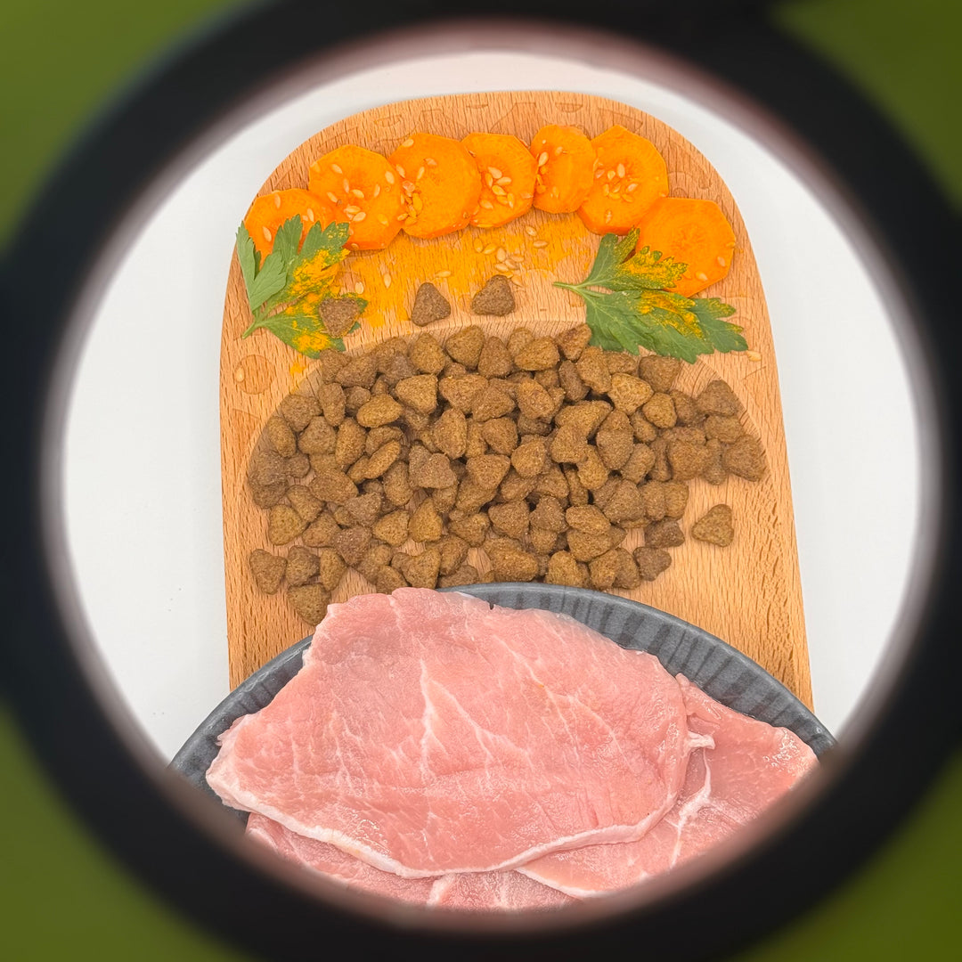 🐱 Schweinefleisch-Trockenfutter ohne Getreide für erwachsene Katzen