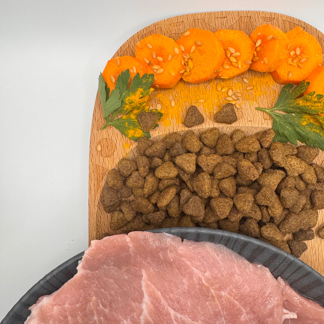 🐱 Schweinefleisch-Trockenfutter ohne Getreide für erwachsene Katzen