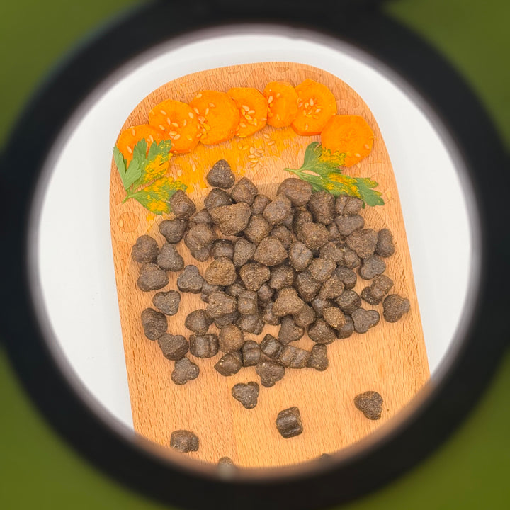 |19,90 CHF| 500 g Trockenfutter und 1 gekochte Mahlzeit à 400 g – abgestimmt auf das Profil Ihres Hundes🐶