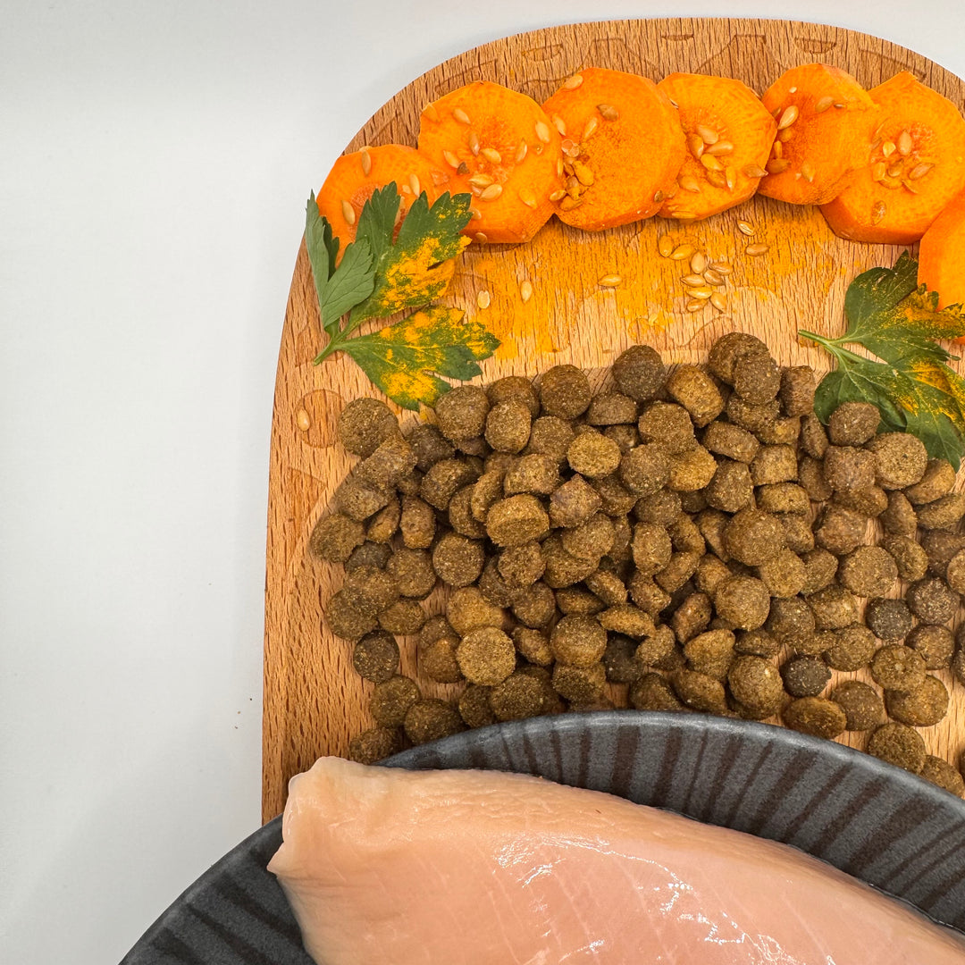 🐶 Huhn-Trockenfutter für ausgewachsene Hunde kleiner und sehr kleiner Rassen (unter 7 kg)