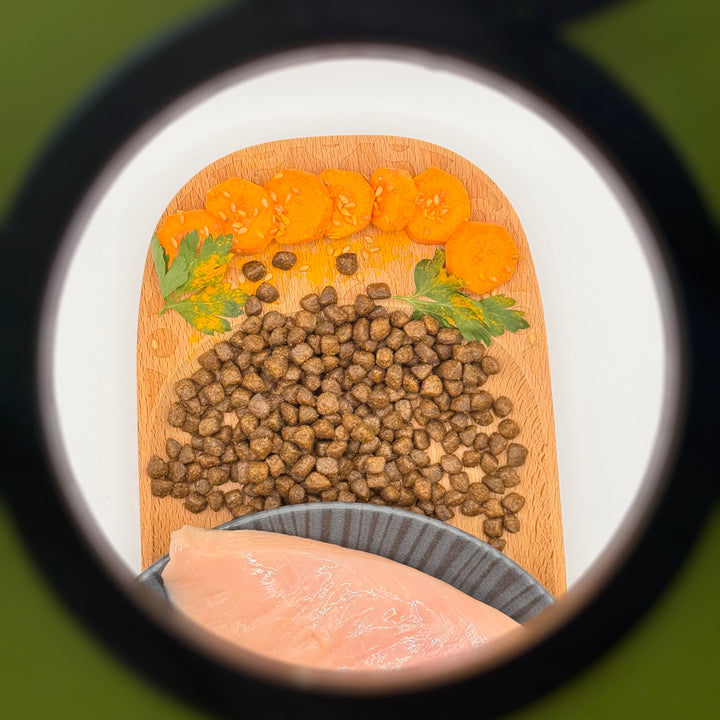🐱 Huhn-Trockenfutter für Kätzchen (Junior)