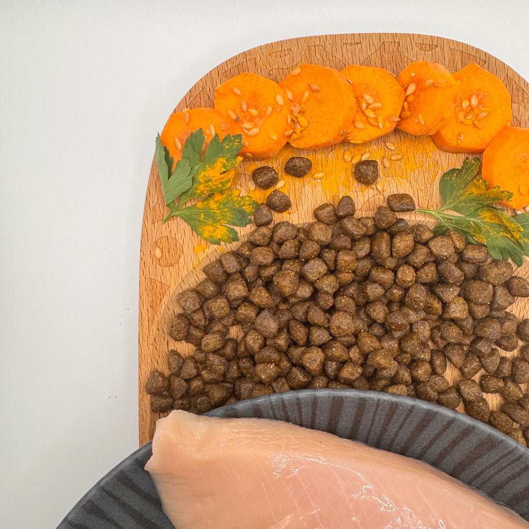 🐱 Huhn-Trockenfutter für Kätzchen (Junior)