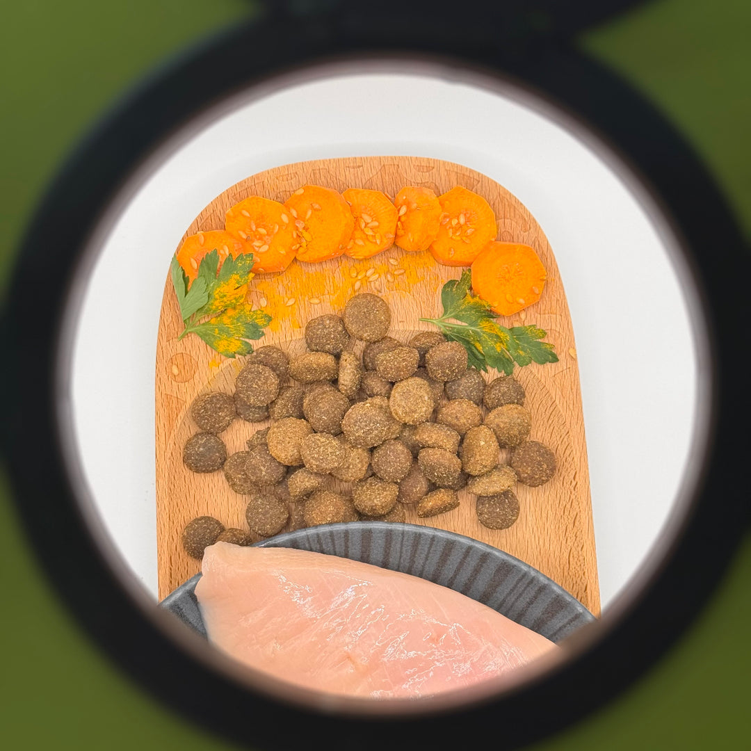 🐶 Huhn-Trockenfutter Junior für große Hunderassen (Welpen)