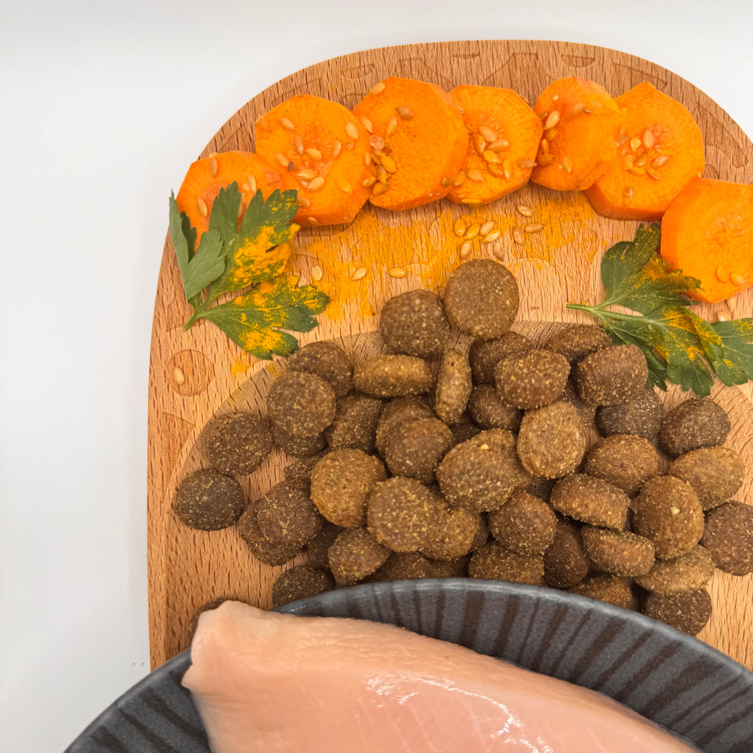 🐶 Huhn-Trockenfutter Junior für große Hunderassen (Welpen)